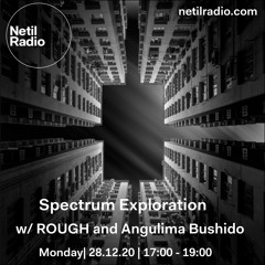 Spectrum Exploration 28.12.2020 B2B Angulima Bushido