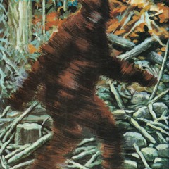 JUNGLE JIMMY (@broadcastradio.sound)