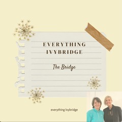 The Bridge - Everything Ivybridge