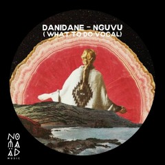 Danidane - Nguvu (What To Do Vocal)