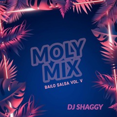Moly Mix [Bailo Salsa Vol. 5]