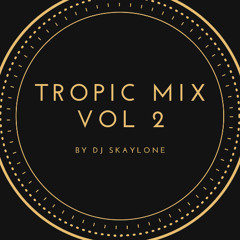 TROPIC MIX VOL 2 BY DJ SKAYLONE (2025)