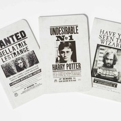 Read ebook [▶️ PDF ▶️] Harry Potter: Wanted Posters Pocket Notebook Co