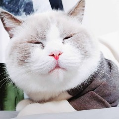 짬뽕🍜