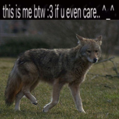 nightcore nightmare X3