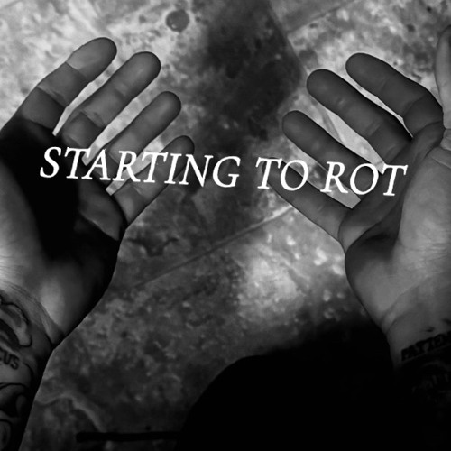 STARTING TO ROT (Feat. SKATTER BABE)
