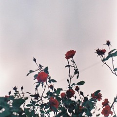 August 20 Mix