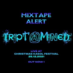 Triptamined Live at Christmas Kasol Festival