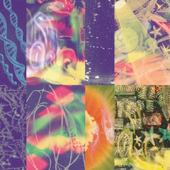 Nap Eyes – The Neon Gate (2024, PoB-077) [FULL ALBUM]