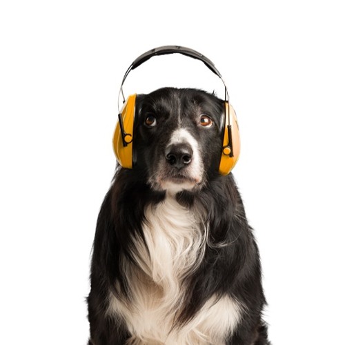 Under Ytan - Emelie, Axel