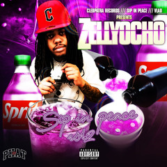 Zellyocho - BAXK N MIXX [Prod: Aevy & sleepless]