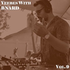 VEEBES WITH BNARD - VOL.9