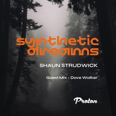 Synthetic Dreams 031 // Shaun Strudwick