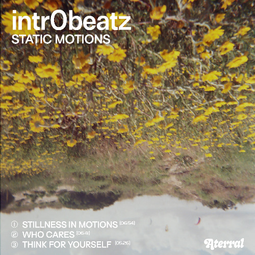 Intr0beatz - Static Motions