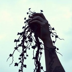 Flaschen und Millionen