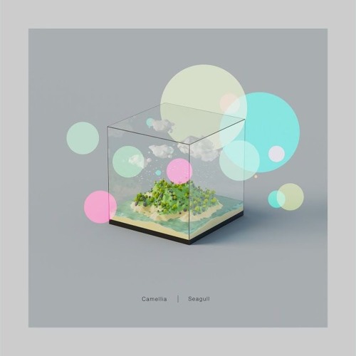 Camellia - Seagull 🕊