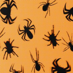 Sneaky Spider - JZAce