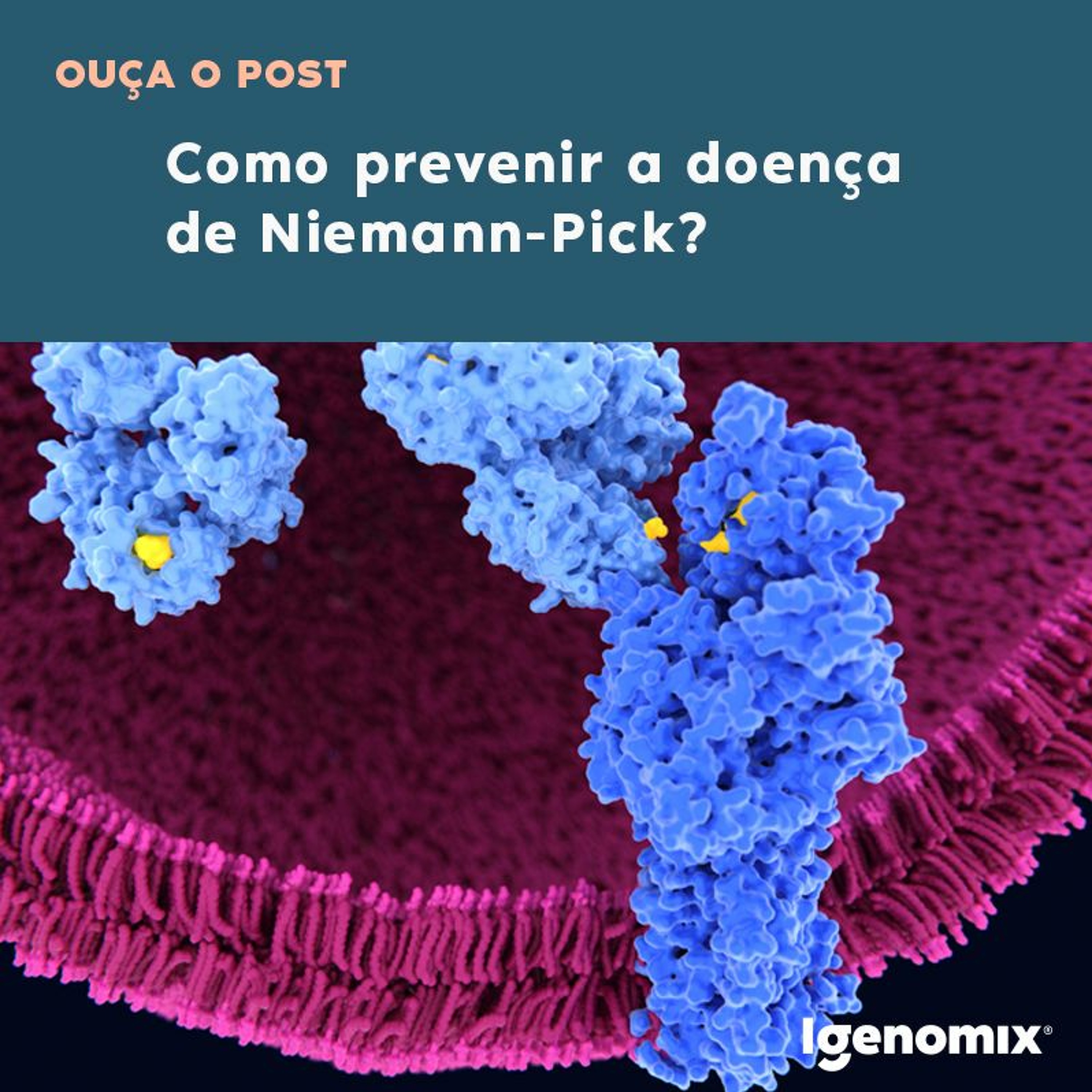 Igenomix Brasil