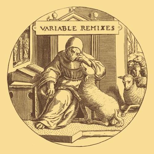 V/A - VARIABLE REMIXES // Snippets