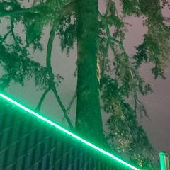 The Green Light Trail
