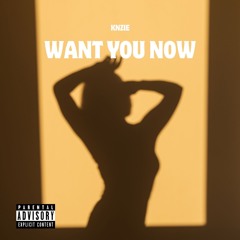 Want You Now (feat. Knzie)