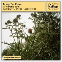 Songs For Peace - Dane Joe - 24 Nov 2023