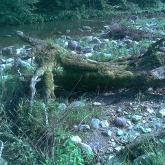 crypt key (windhand cover)