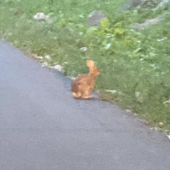 strangers (in progress)