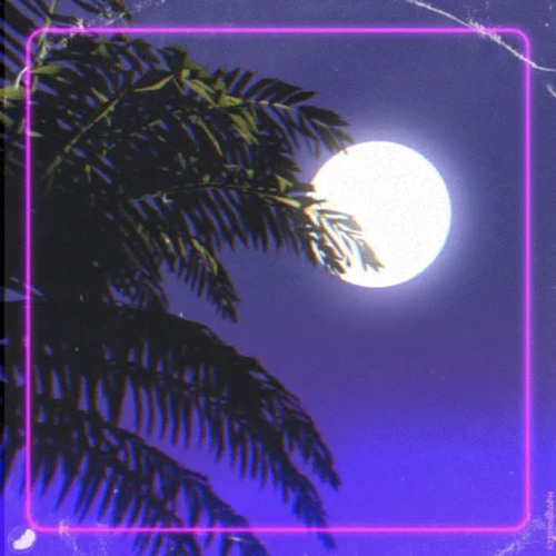 Ny’ell - Highlight (feat. Xanthe & Dolo Criz)
