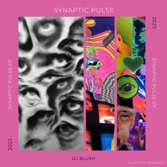 VD PREMIERE | DJ BLUSH - DANCE CONSTRUCTOR