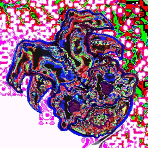 Problème/Solution/Problème/Solution