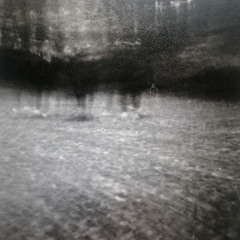 coco loris - to speak of solitude