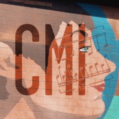 Safety and Seatbelts (You're So Niche)