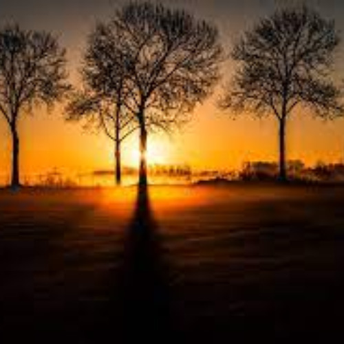 awakening to a new day