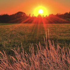 Mix Organic Progressive House 24-01-25