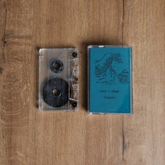 SIDE A [cassette] _ Owl _ Hokusai´s Wave (1831)
