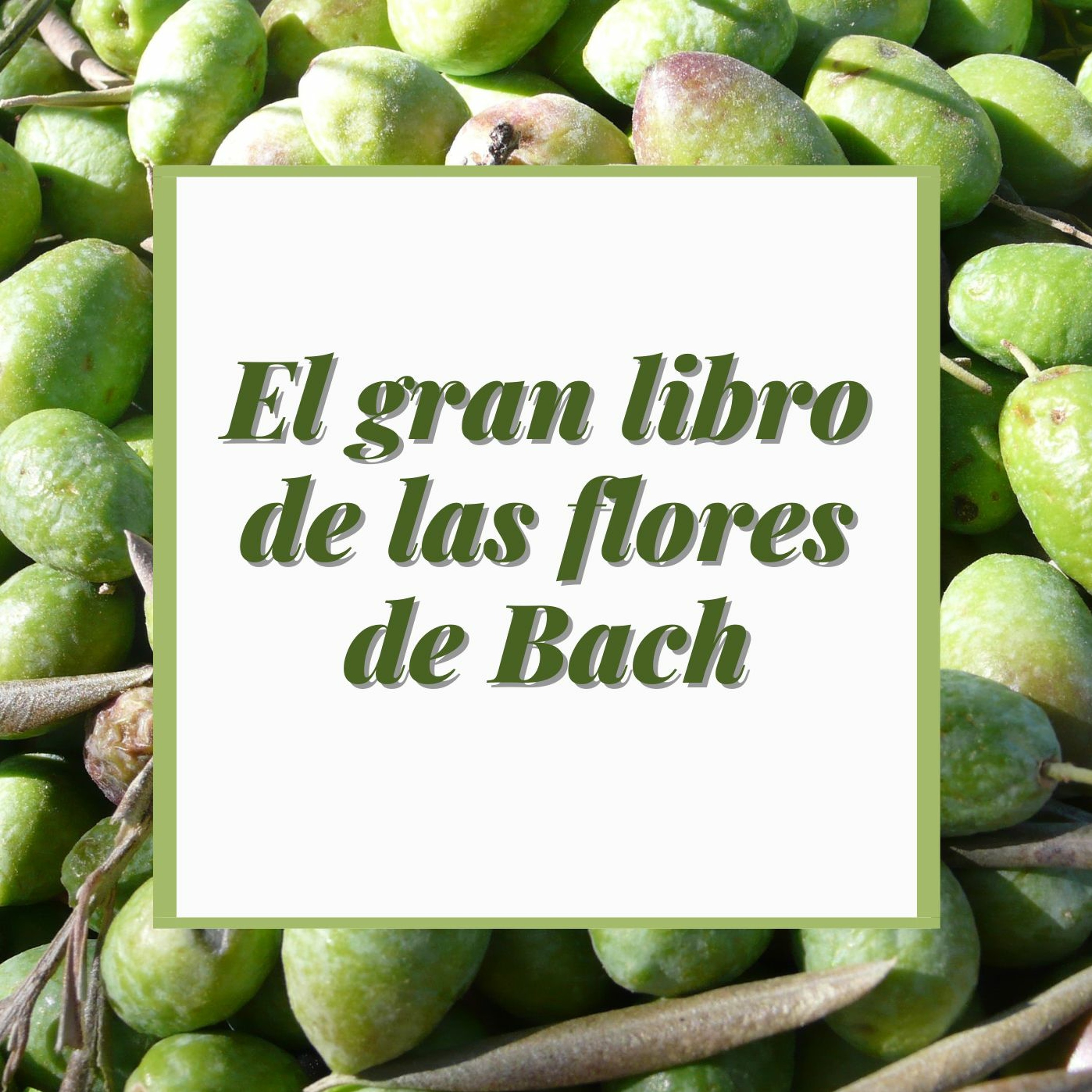 Devecchi Ediciones