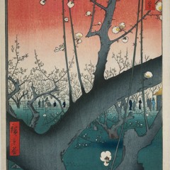 No.30 Plum Park in Kameido