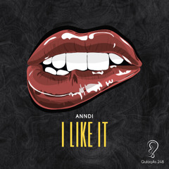 ANNDI - I Like It (Radio Mix)