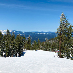 Race Down a Snowy Slope