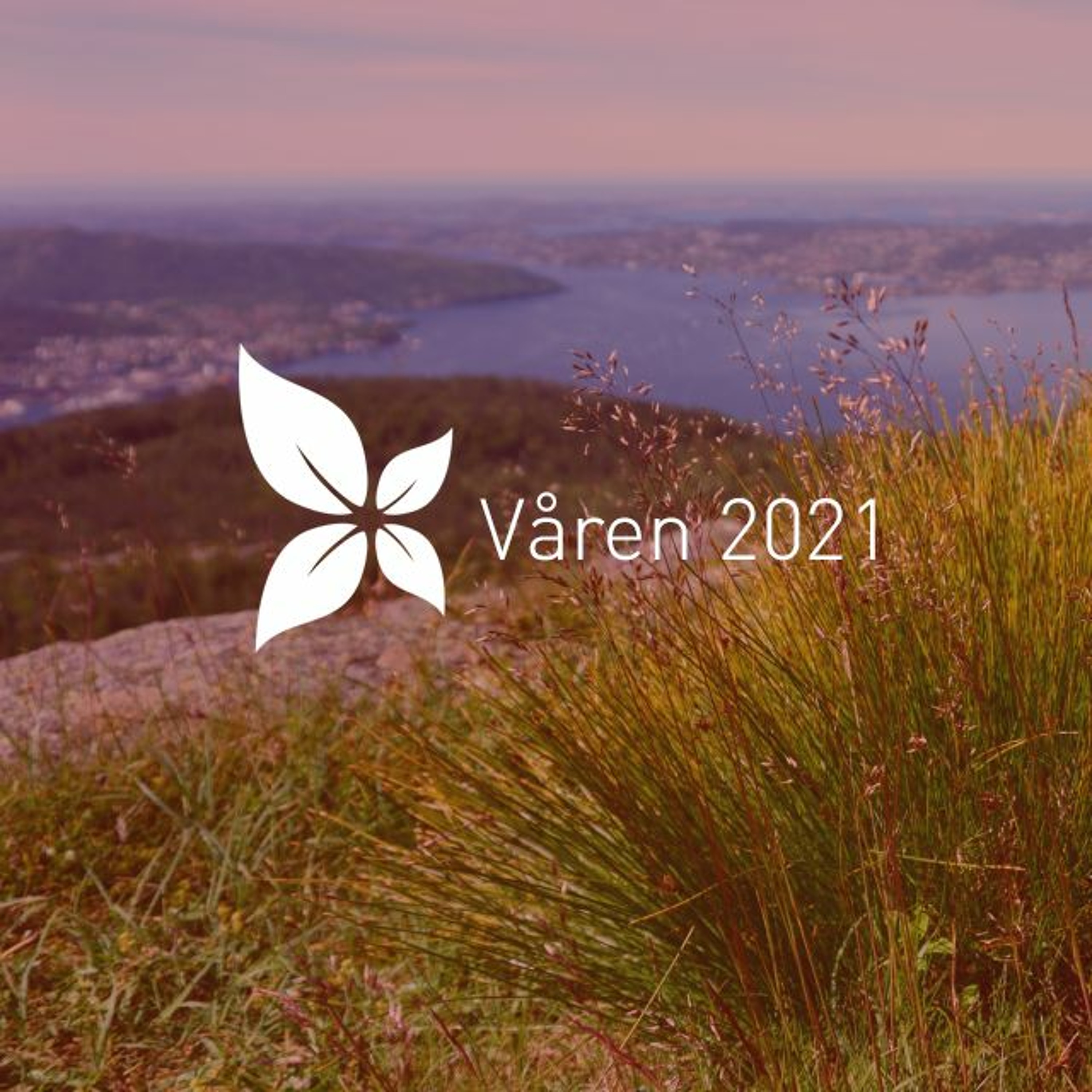Salem Bergen