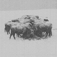 Premiere: BVDUB -  Not Yours To See (Glacial Movements)