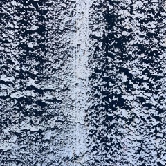 semiorganic - raw cut