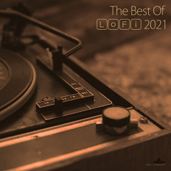 The Best Of LoFi 2021 (Continuous Mix)
