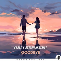 Chaoz & AustrianPatriot - Goodbye