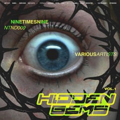 Various Artists - Hidden Gems Vol.1 [NTND009] (Previews)