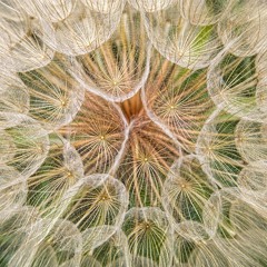 Playlist | November 2020