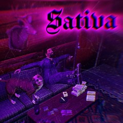 Sativa x Arsaad