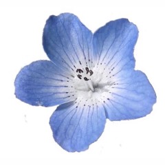 ☆ BLOODbath64 - vapor season - sped up!!