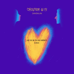 Jay Ko & Silviu Andrei x Dan Balan - Oriunde Ai fi (Extended Remix)